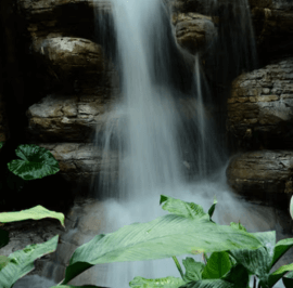 Indoor fountain